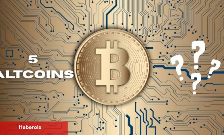 Altcoin Dönemi Geliyor Mu? İşte Alınabilecek En Uygun 5 Altcoin!