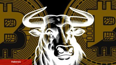 Altcoin Rallisi Başlıyor! Her Gün Yüzde 40’lık Karlar Olacak! Analist Açıkladı! - Haberois Altcoin Rallisi Başlıyor! Her Gün Yüzde 40’lık Karlar Olacak! Analist Açıkladı!