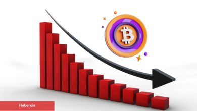 Altcoin Rallisi Gelmeden Bir Çöküş Mü Gelecek? Analist Açıkladı! - Haberois Altcoin Rallisi Gelmeden Bir Çöküş Mü Gelecek? Analist Açıkladı!