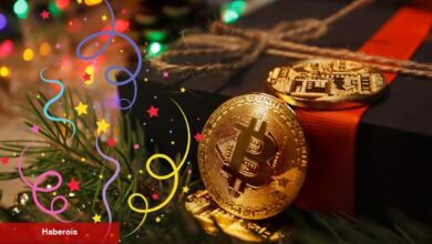 Analist Açıkladı; 2017’Den Daha Büyük Bir Altcoin Rallisi Geliyor! - Haberois Analist Açıkladı; 2017’Den Daha Büyük Bir Altcoin Rallisi Geliyor!