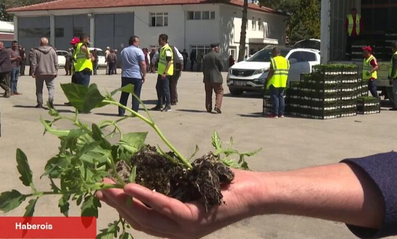 Ankara Büyükşehir'den kırsal kalkınma dayanaklarına devam - Haberois Ankara Büyükşehir'den kırsal kalkınma dayanaklarına devam