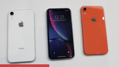 Apple CEO’su, Texas’ın çevrimiçi çocuk güvenliği yasasını yeniden gözden geçirmeye çağırdı