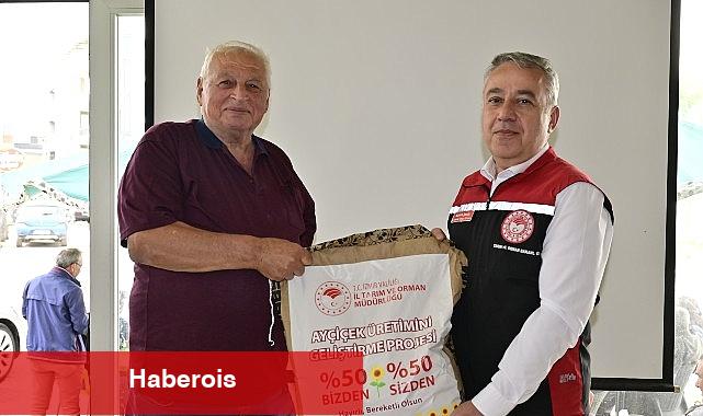 Ayçiçeği Üreticilerine Yerli Tohum Takviyesi - Haberois Ayçiçeği Üreticilerine Yerli Tohum Takviyesi