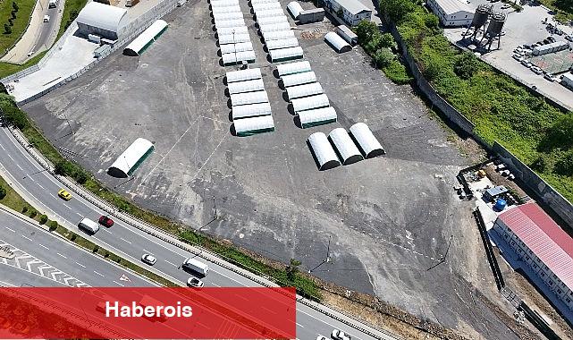 "Bağcılar'da 20 bin metrekare büyüklüğünde kurban satış ve kesim alanı kuruldu" - Haberois "Bağcılar'da 20 bin metrekare büyüklüğünde kurban satış ve kesim alanı kuruldu"