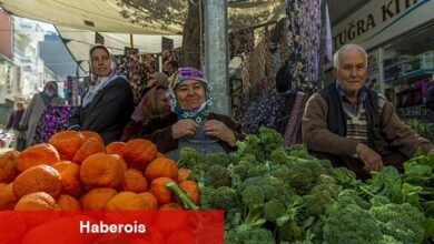 Bahar ayında çilek ve domates tepede - Haberois Bahar ayında çilek ve domates tepede