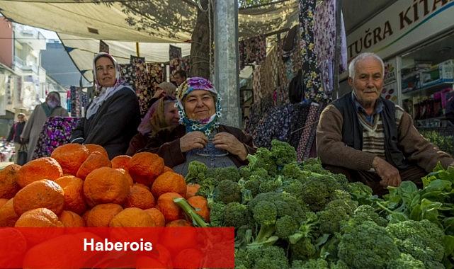 Bahar ayında çilek ve domates tepede - Haberois Bahar ayında çilek ve domates tepede