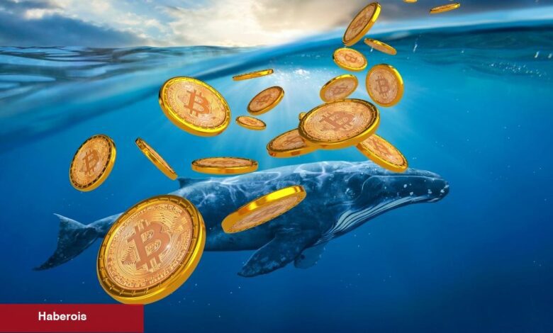 Balina Devasa Bitcoin Long Konumu Açtı! Boğa Dönemi Mu Başlıyor? - Haberois Balina Devasa Bitcoin Long Konumu Açtı! Boğa Dönemi Mu Başlıyor?