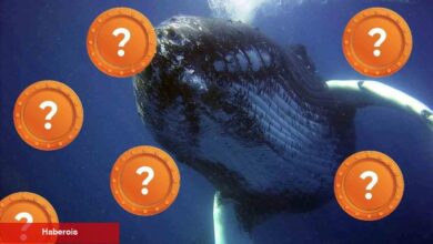 Balinalar Durmadan Bu Kripto Parayı Topluyor! Neyi Biliyorlar?