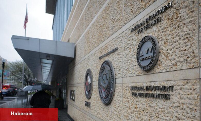 Beşeri bilimlere karşı dava, Doge hakkında detaylar sunuyor