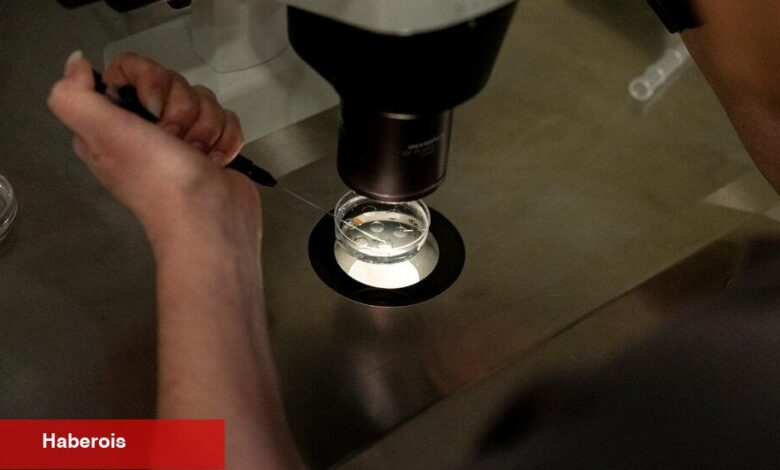 Beyaz Saray'daki IVF müzakerelerinin içinde kilit rapor yaklaştıkça