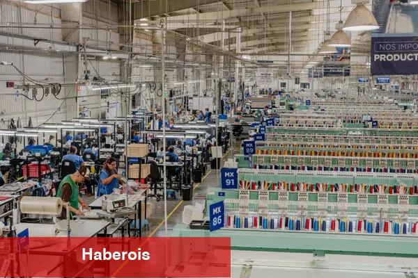 Bir aile şirketi işletiyor. Kurallara uymak istiyor. Kolay değil. - Haberois Bir aile şirketi işletiyor. Kurallara uymak istiyor. Kolay değil.