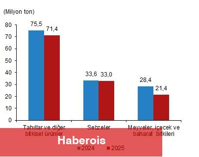 Bitkisel Üretim 1.Tahmini, 2025 - Haberois Bitkisel Üretim 1.Tahmini, 2025