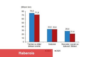 Bitkisel Üretim 1.Tahmini, 2025 - Haberois Bitkisel Üretim 1.Tahmini, 2025