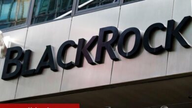 BlackRock’un Fink’i: ABD açıkları ve ticaret savaşı tasa yaratırken yatırımcılar nakit biriktiriyor