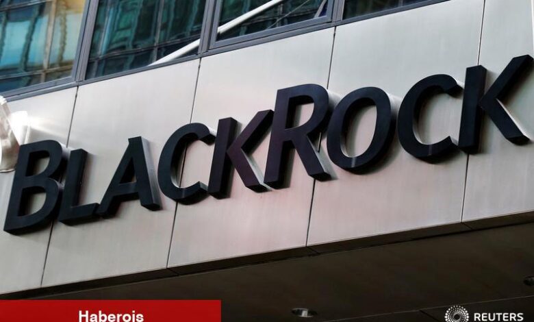 BlackRock’un Fink’i: ABD açıkları ve ticaret savaşı tasa yaratırken yatırımcılar nakit biriktiriyor - Haberois BlackRock’un Fink’i: ABD açıkları ve ticaret savaşı tasa yaratırken yatırımcılar nakit biriktiriyor