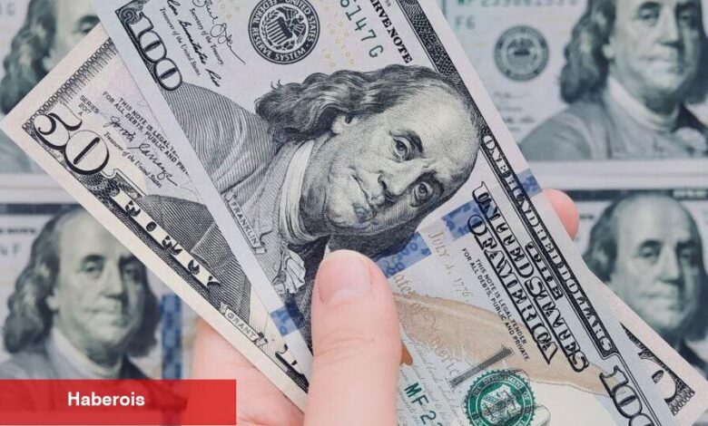 Bu hafta dolar ve euro kazandırdı