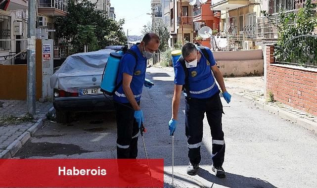 Buca'da Haşere ve Zararlılara Karşı İlaçlama Seferberliği - Haberois Buca'da Haşere ve Zararlılara Karşı İlaçlama Seferberliği