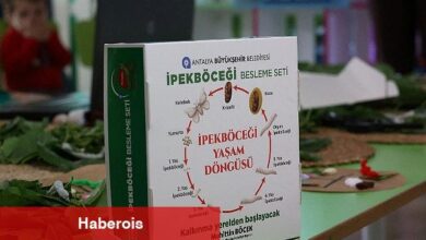 Büyükşehir çocukları ipekböceği ile tanıştırıyor