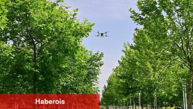 Büyükşehir, haşereyle çabaya aralıksız devam ediyor - Haberois Büyükşehir, haşereyle çabaya aralıksız devam ediyor