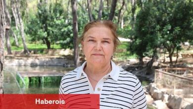 Büyükşehir'den çocuklara özel kaplumbağa aktifliği - Haberois Büyükşehir'den çocuklara özel kaplumbağa aktifliği