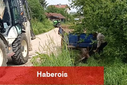 Can kurtarayım derken, kendi canından oluyordu - Haberois Can kurtarayım derken, kendi canından oluyordu