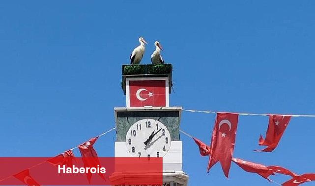 Can ve Canan Leylek Yuvalarına Geldi