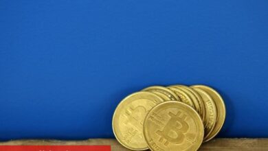 Canary Capital, ABD’nin birinci spot CRO ETF’sini piyasaya sürmeyi hedefliyor