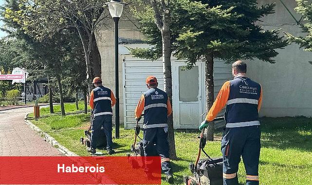 Çankaya Parklarında Bakım ve Tamirat Mesaisi - Haberois Çankaya Parklarında Bakım ve Tamirat Mesaisi