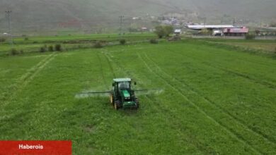 Cann Gübre Erzurum çiftçisine can simidi oldu - Haberois Cann Gübre Erzurum çiftçisine can simidi oldu