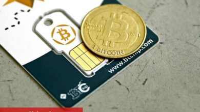 Cardano 10% oranında yükseldi