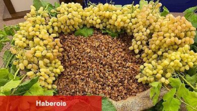 Çekirdeksiz kuru üzüm, kuru kayısı ve kuru incir ihracatında 1 milyar dolar aşıldı