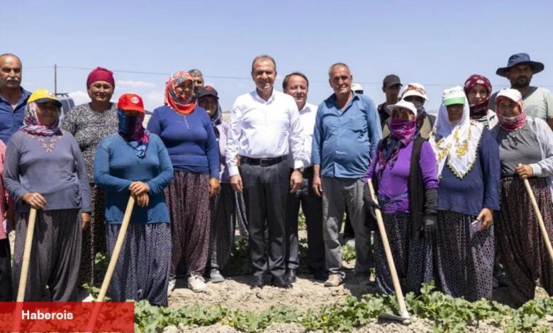 Çiftçinin yüzünü güldüren atak - Haberois Çiftçinin yüzünü güldüren atak