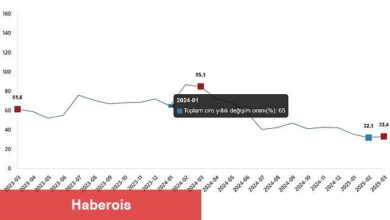 Ciro Endeksleri, Mart 2025 - Haberois Ciro Endeksleri, Mart 2025