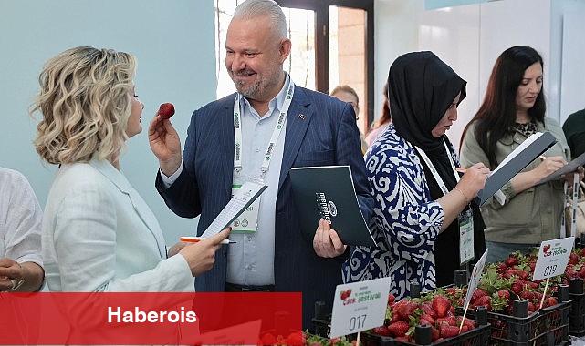 Emiralem Çilek Şenliği rekor kırdı: milyonu geçti!