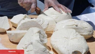 Erzincan Tulum Peyniri AB'den coğrafik işaret tescili aldı!