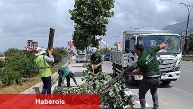 Fırtınanın Ziyan Verdiği Ağaçlar Kaldırıldı - Haberois Fırtınanın Ziyan Verdiği Ağaçlar Kaldırıldı