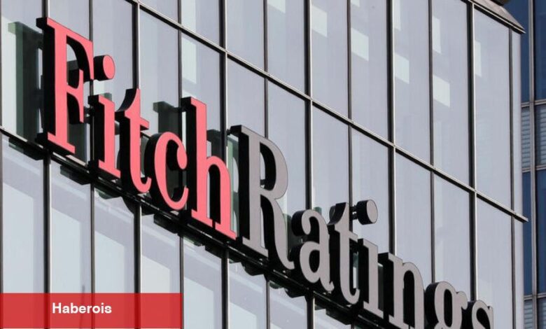 Fitch'ten Türk borçlanma piyasası yorumu - Haberois Fitch'ten Türk borçlanma piyasası yorumu