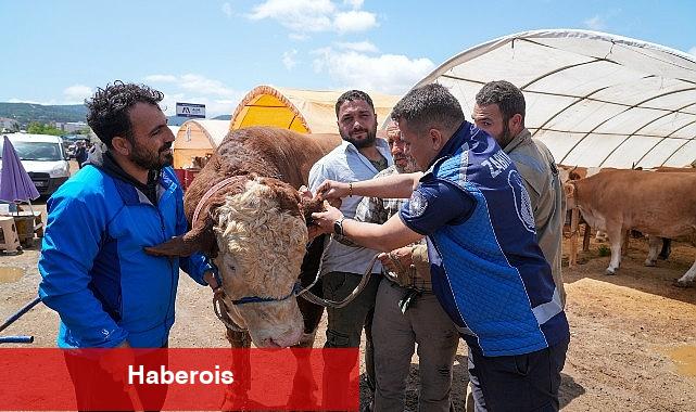 Gaziemir'de kurban satış yerlerinde sıkı kontrol