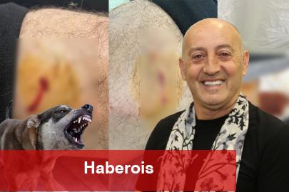 Gemlik Karacaali Muhtarı'na sokak köpeklerinden saldırı!