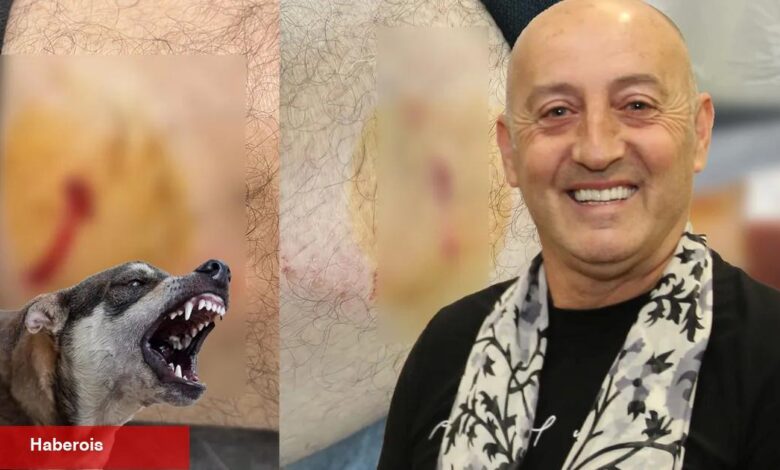 Gemlik Karacaali Muhtarı'na sokak köpeklerinden saldırı!