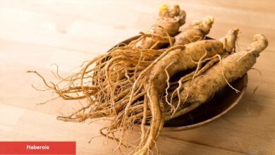 Ginseng'in cilt üzerindeki büyüleyici gücü! - Haberois Ginseng'in cilt üzerindeki büyüleyici gücü!