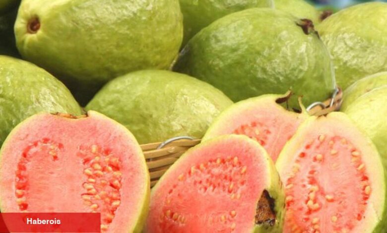 Güçlü bir antibiyotik, yaşlanma karşıtı: Guava meyvesinin bilinmeyen faydaları