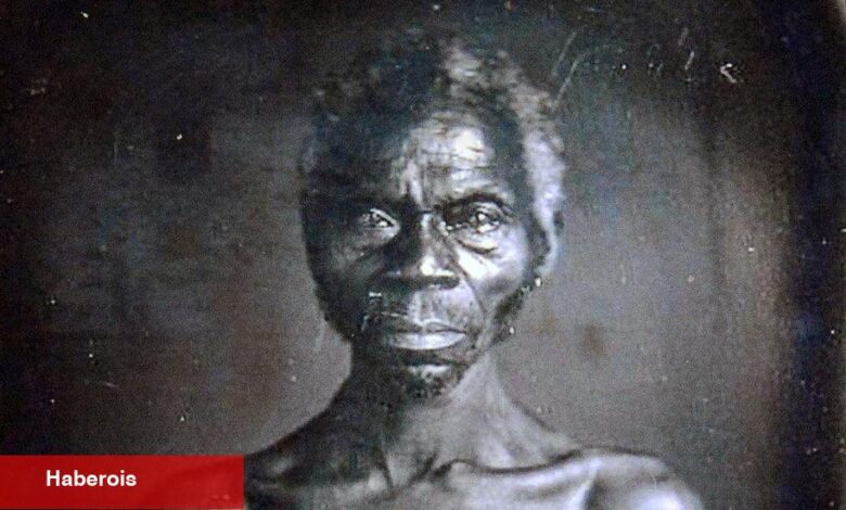 Harvard, köle fotoğrafları üzerinde uzun süreli dövüşten sonra merhamet ediyor - Haberois Harvard, köle fotoğrafları üzerinde uzun süreli dövüşten sonra merhamet ediyor