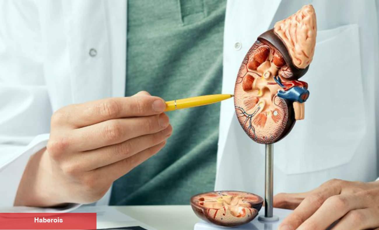 Her 8 şahıstan birinde görülüyor! Böbrek taşıyla hayatınız kabusa dönmesin