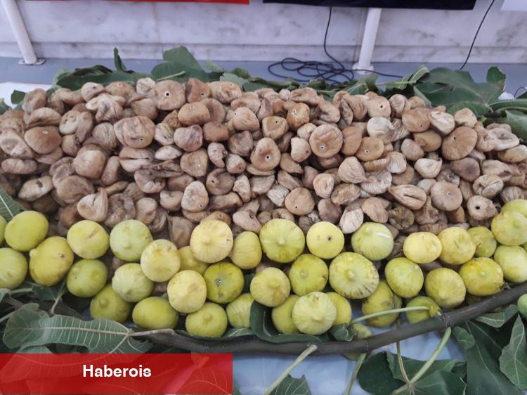 İhracatçılar aflatoksinli inciri güce dönüştürdü