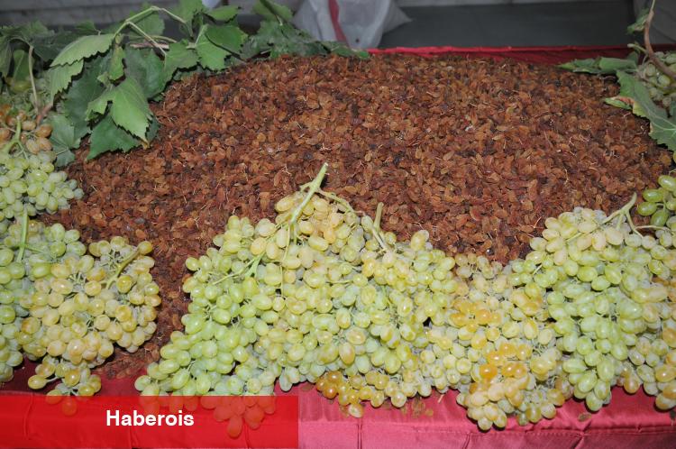 İngilizler kuru üzümün, Amerikalılar kuru kayısının peşinde! - Haberois İngilizler kuru üzümün, Amerikalılar kuru kayısının peşinde!