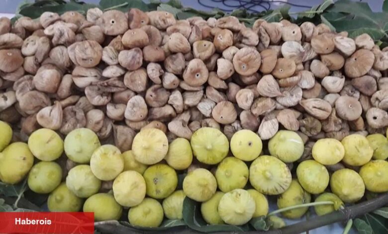 İngilizler kuru üzümün, Amerikalılar kuru kayısının peşinde! - Haberois İngilizler kuru üzümün, Amerikalılar kuru kayısının peşinde!