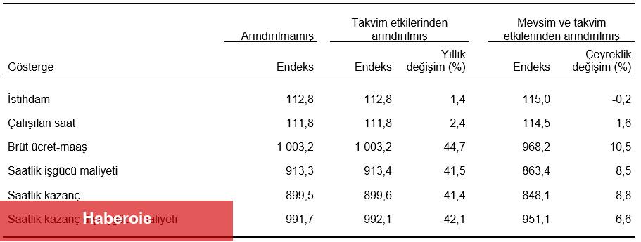 İşgücü Girdi Endeksleri, I. Çeyrek: Ocak-Mart, 2025