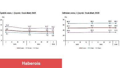 İşgücü İstatistikleri, I. Çeyrek: Ocak-Mart, 2025