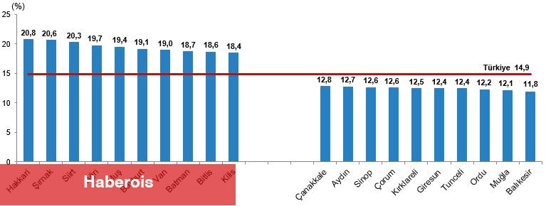 İstatistiklerle Gençlik, 2024 - Haberois İstatistiklerle Gençlik, 2024